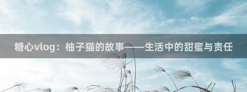 糖心vlog皮皮娘:糖心vlog:柚子猫