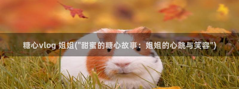 糖心vlog在线资源:糖心vlog 姐姐