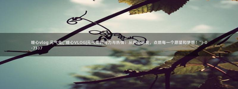 糖心VLOG官网二维码:糖心vlog 元