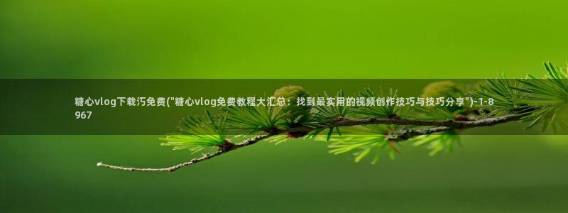 糖心vlog娱乐:糖心vlog下载汅免费