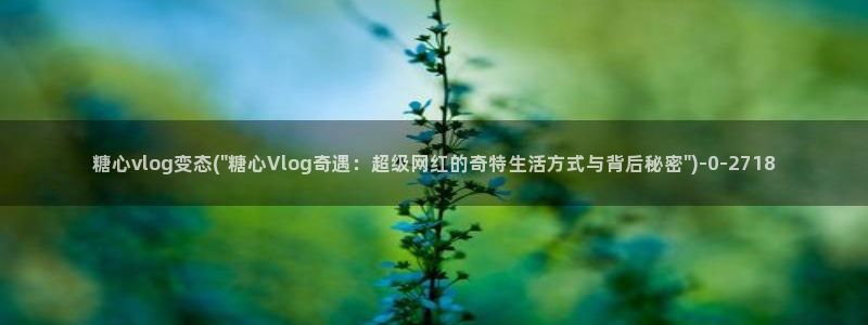 糖心vlog旅行女主角:糖心vlog变态